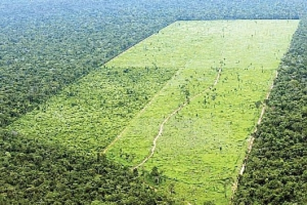 O produtor rural poder rever termo de compromisso ambiental firmado sob a vigncia de legislao anterior