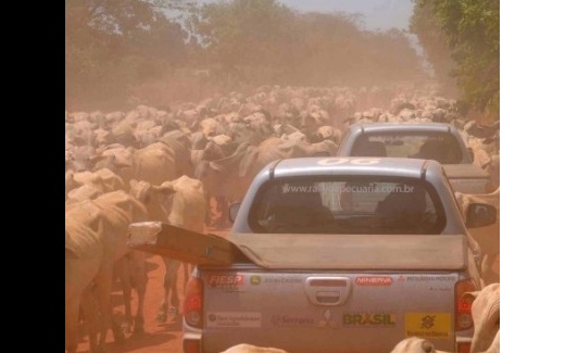 Avanos e desafios da pecuria so constatados durante rally em MT