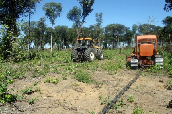 Operao Caryocar aplica R$ 20 milhes em multas em Mato Grosso 