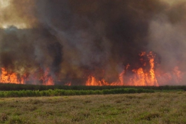 Alerta em Mato Grosso: nmero de queimadas dispara no estado