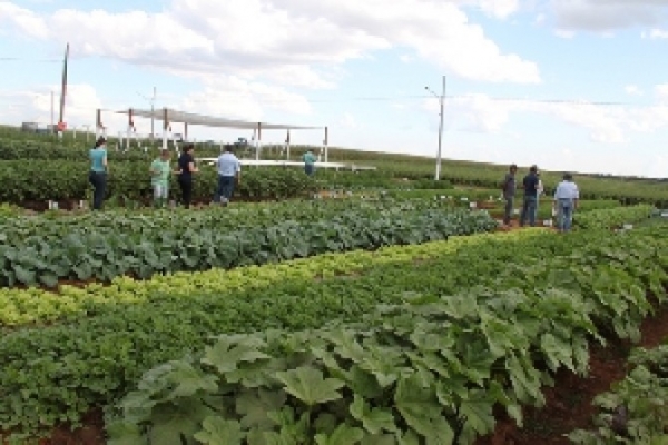 Pesquisa mostra que 80% dos consumidores esto preocupados com a sustentabilidade na agricultura