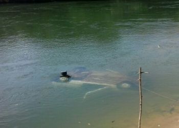 Mulher morre afogada aps automvel voltar de r e cair dentro de rio