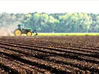 Falta de chuvas atrasa plantio de soja no Mato Grosso‏