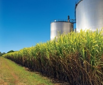 Mato Grosso tem potencial para maior produtor do Pas, diz Sindalcool