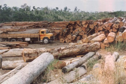 Desmatamento no Mato Grosso aumenta 939% em dois meses