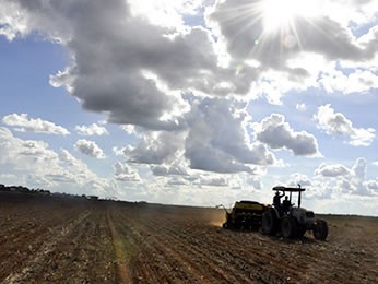 Plantio da soja para em MT; replantio  certo em algumas reas, diz Aprosoja