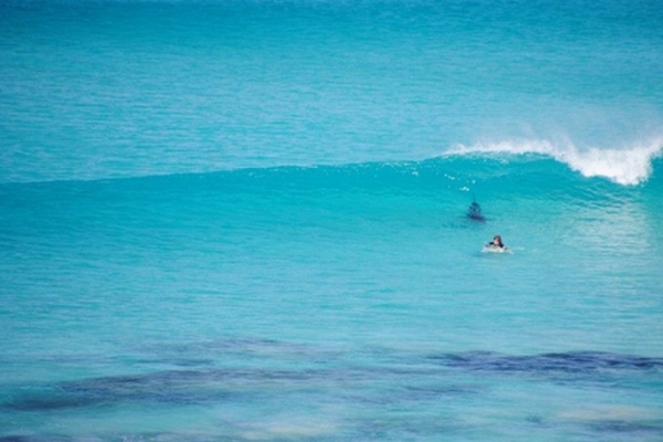 Surfista  perseguido por tubaro, mas mantm a calma e sai ileso