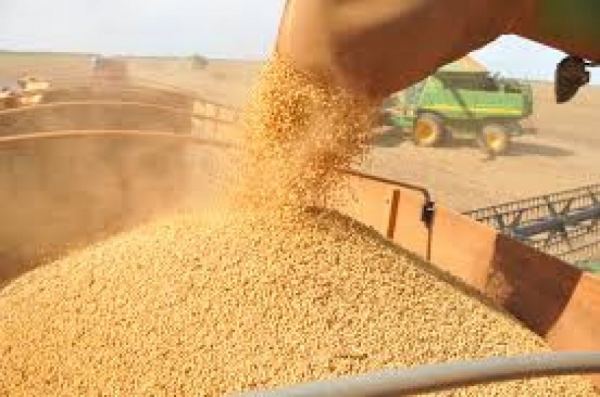 Receita no campo pode encolher 5%