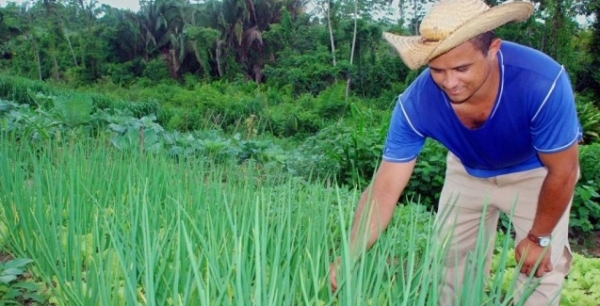 Paran investe R$ 132,1 milhes em programas para pequenos agricultores