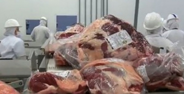 Similares s de janeiro, vendas externas de carnes continuam com fraco desempenho