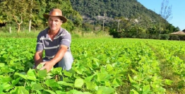 GTPS apoia Seminrio Mato Grosso: Cadeias Produtivas Sustentveis