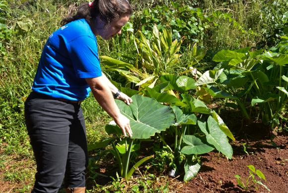 Brasil se destaca em pesquisa sobre biodiversidade entre nove pases