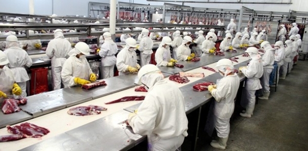 EUA vo abrir mercado para carne bovina do Brasil beneficiando Mato Grosso