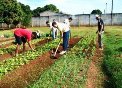 PIB agropecurio deve ser de R$ 1,2 trilho