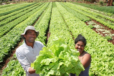 Produo da agricultura familiar ser destinada a detentos em MT