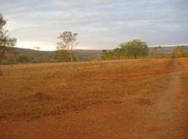 Pecuaristas devem acompanhar levantamento do VTN para fins do Imposto Territorial Rural