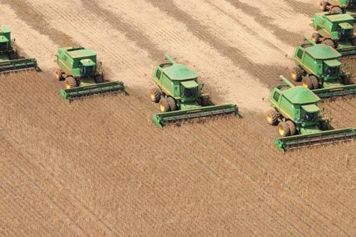 Produtores de Mato Grosso tero autorizao provisria para atividade rural