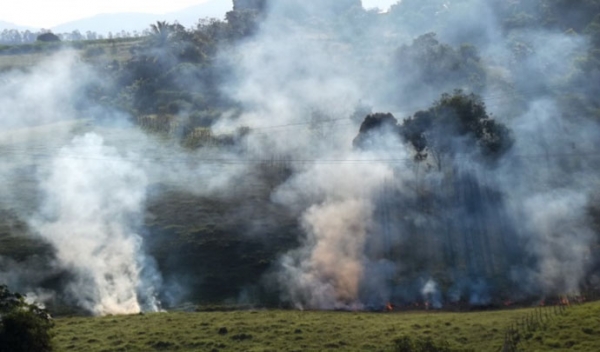 Incndio j destruiu quase 1.500 hectares de pastagem e mata em assentamento rural de Juara