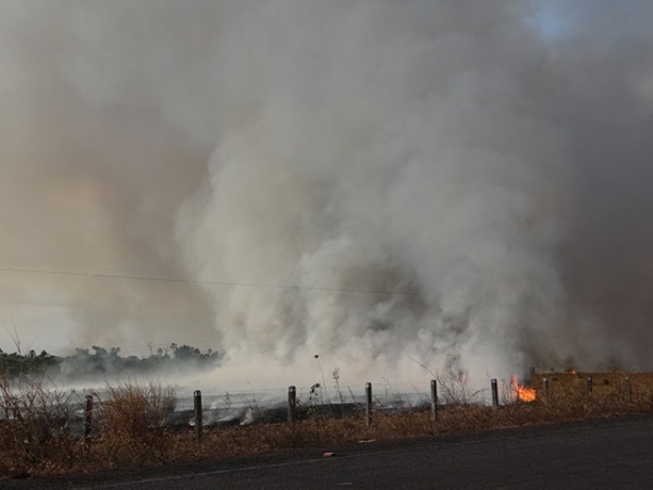 Cerca de 500 hectares de pastagens foram destrudos pelo fogo  margem da Rodovia do Vale.