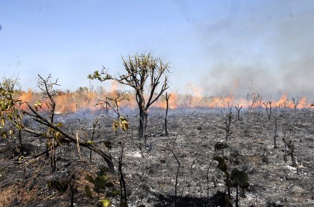 Perodo proibitivo em Mato Grosso  prorrogado pela SEMA