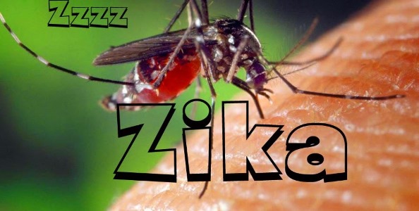 Mato Grosso j registra quatro casos confirmados de zika vrus