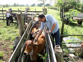 Agricultura defende cooperao para fortalecer sanidade agropecuria