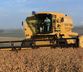 Anlise em Mato Grosso aponta que relatrios podem impactar nos preos futuros da soja