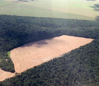 Mato Grosso retoma discusses do zoneamento ecolgico-econmico