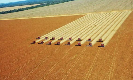 Capital do Agronegcio, Sorriso ser tema de enredo no Rio de Janeiro