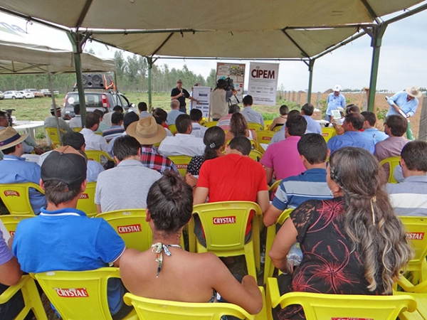 Organizadores ficam satisfeitos com o 4 Dia de Campo integrao Lavoura Pecuria Floresta.