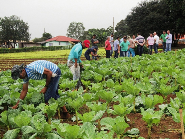 Governo cria grupo de trabalhar para elaborar diagnstico da agricultura familiar