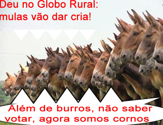 Notcia do Globo Rural deixa muitos eleitores preocupados 