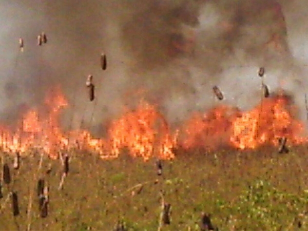 Juara arde em chamas e populao no tem a quem recorrer.