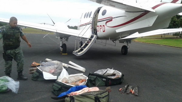 Turistas de Minas Gerais vo responder por pesca ilegal em Mato Grosso