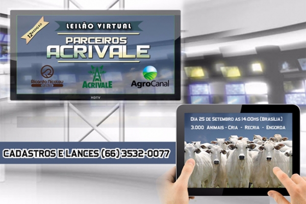 Leilo Virtual Parceiros Acrivale acontece nesse domingo, 25 de setembro, pelo Agro Canal.