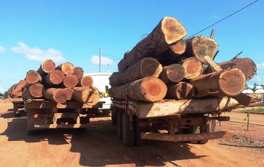 Sema apreende caminhes e madeira ilegal no Norto