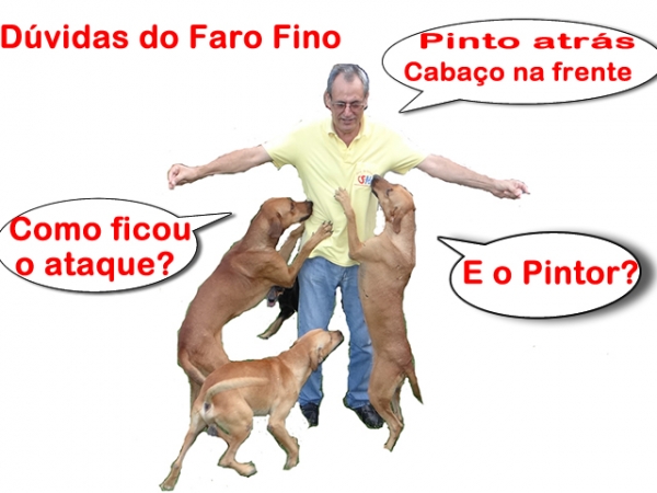 Tirando dvdas do Faro Fino