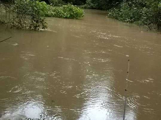 Mdia de chuva registrada no ms de janeiro em Juara j  a maior em trs anos