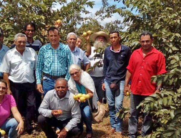 Secretrio do Agronegcio acompanha produtores de Juara durante visita a empresas de polpa de frutas e bucha vegetal