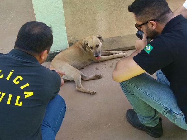 Cadela de que aparece em vdeo sendo abusada por homem  resgatada pela Dema