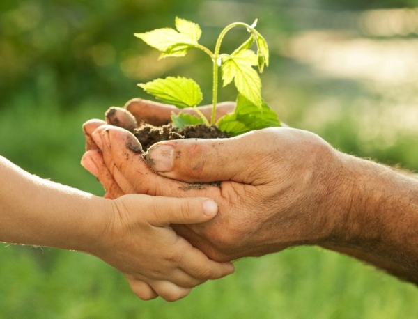 Curso de Formao de Multiplicadores em Educao Ambiental ser realizado em Juara na prxima semana