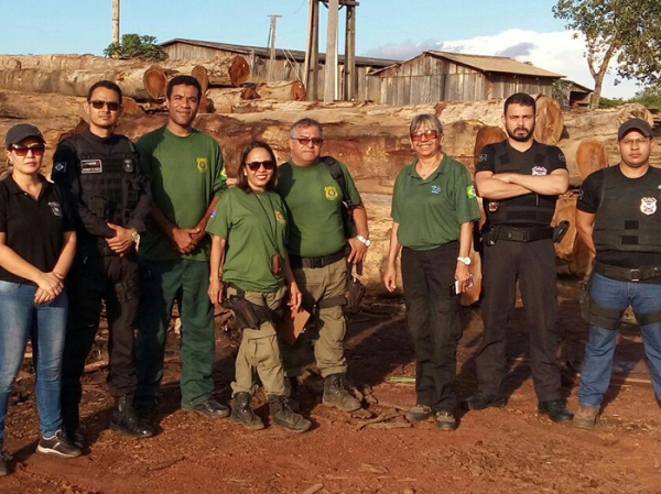 PJC e IBAMA prendem dono de madeireira e gerente por crimes ambientais em Aripuan