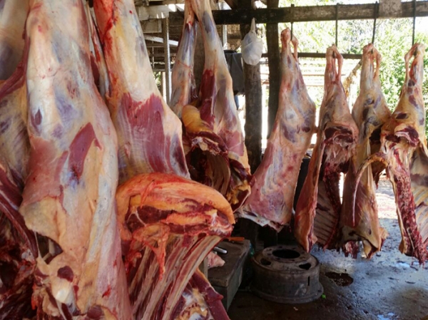 DEMA: Mais de 500 quilos de carne so apreendidos em matadouro clandestino