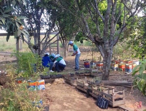 QUALIFICAO Quinze pessoas concluem o curso de Produo de Mudas em Viveiros Florestais