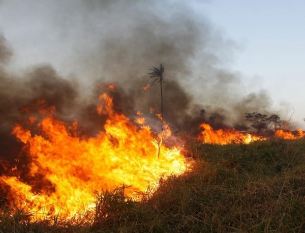 Perodo de seca exige cuidados redobrados com os terrenos e quintais