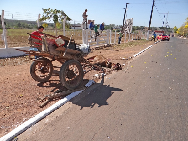 Carro bate em carroa, fere condutor e mata burro que puxava o veculo