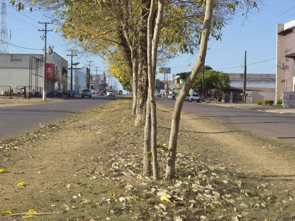 Estudo sobre mudana do canteiro central da Avenida Rio Arinos est em fase de concluso 