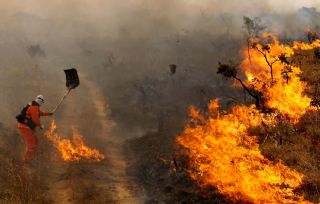 Incndios reduzem, mas devastam reas de preservao em Mato Grosso