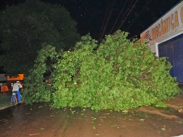 Vendaval em Juara derruba dezenas de rvores, deixa a cidade no escuro e parte da Avenida Rio Arinos interditada.  