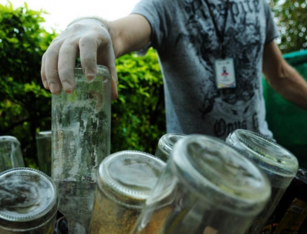 Saiba como se proteger da dengue, chikungunya, zika e febre amarela 